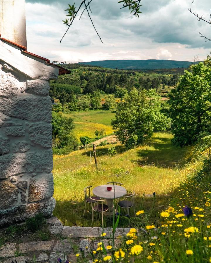 Casa Da Varzea - Serra Da Estrela Fornos de Algodres Eksteriør bilde